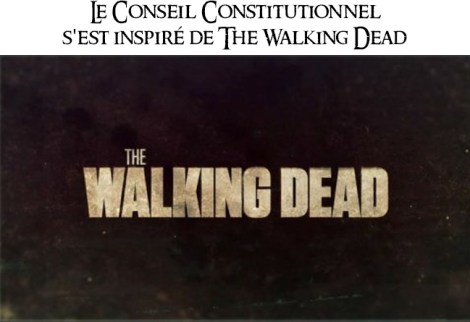 Sérieusement, c'est moi ou ce genre d'analyse ressemble en fait juste à des tests Facebook façon Quel personnage de Star-Wars es-tu ? On en est donc là. Je note, je note. Walking dead