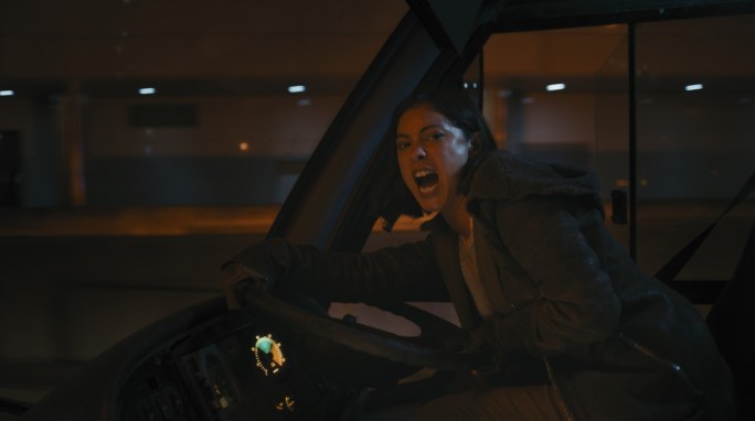 Du calme Brenda. Prend cet oreiller. Pose-le sur le visage de Thomas. Maintenant, presse. Comment ? Quand t'arrêter ? Tu devrais voir le générique défiler quand ce sera le cas.