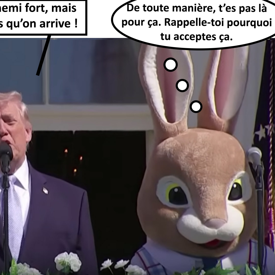 T'es pas un lapin de trois semaines, tu sais pourquoi.