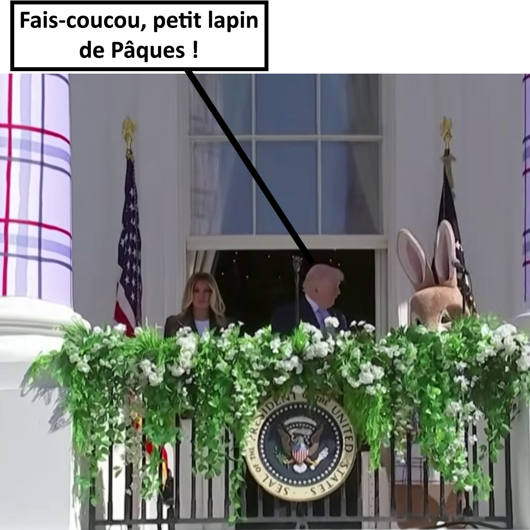 S'il ne le fait pas, Trump l'expulsera probablement sur l'île de Pâques, pensant que c'est chez lui.